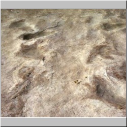 px85b-6-TSite Center.jpg